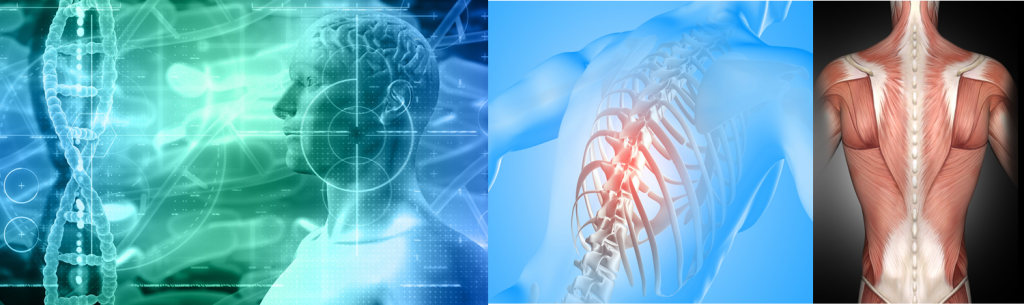 PVS理論とB.I.Oコンセプト